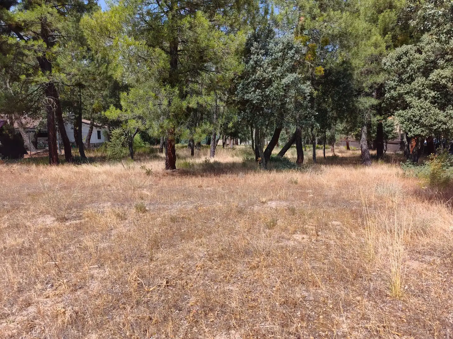 Terreny residencial en venda a Calle de los Abetos 106, imagen 12