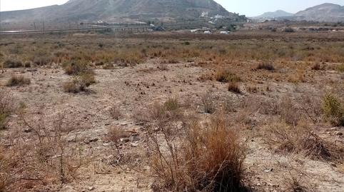 Photo 5 of Land for sale in Font Calent, Hacienda de Casas de San Juan, -1, Fontcalent, Alicante