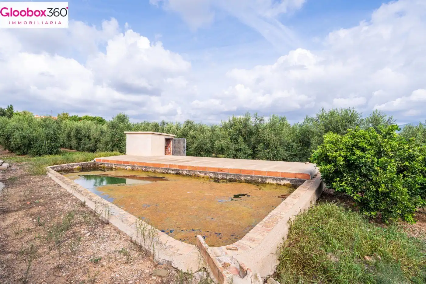 Casa o chalet en venta en Riudoms con Calefacción, Jardín privado y Terraza