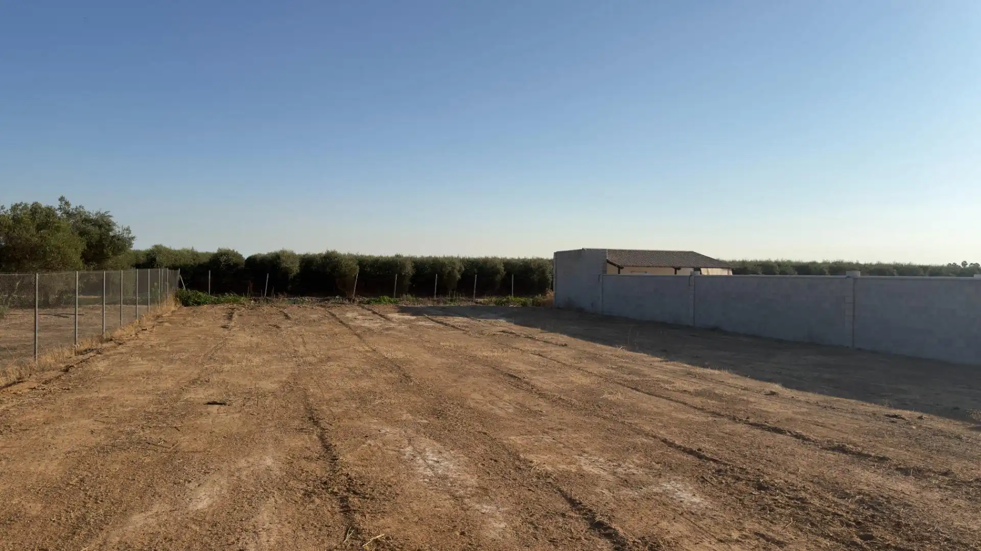 Terreno rústico en venta en Los Palacios y Villafranca