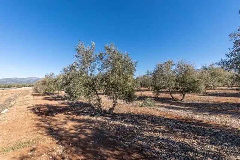Casa rústica en venda a PAGO CORTIJO DE LAS MONJAS POLIGONO 1 PARCELA 193, imagen 27