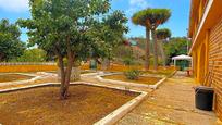 Jardí de Casa o xalet en venda en El Rosario amb Jardí privat i Terrassa