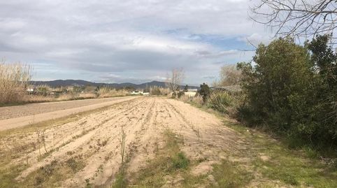 TERRENO RÚSTICO en VENTA  GAVÀ  BARCELONA, imagen 3