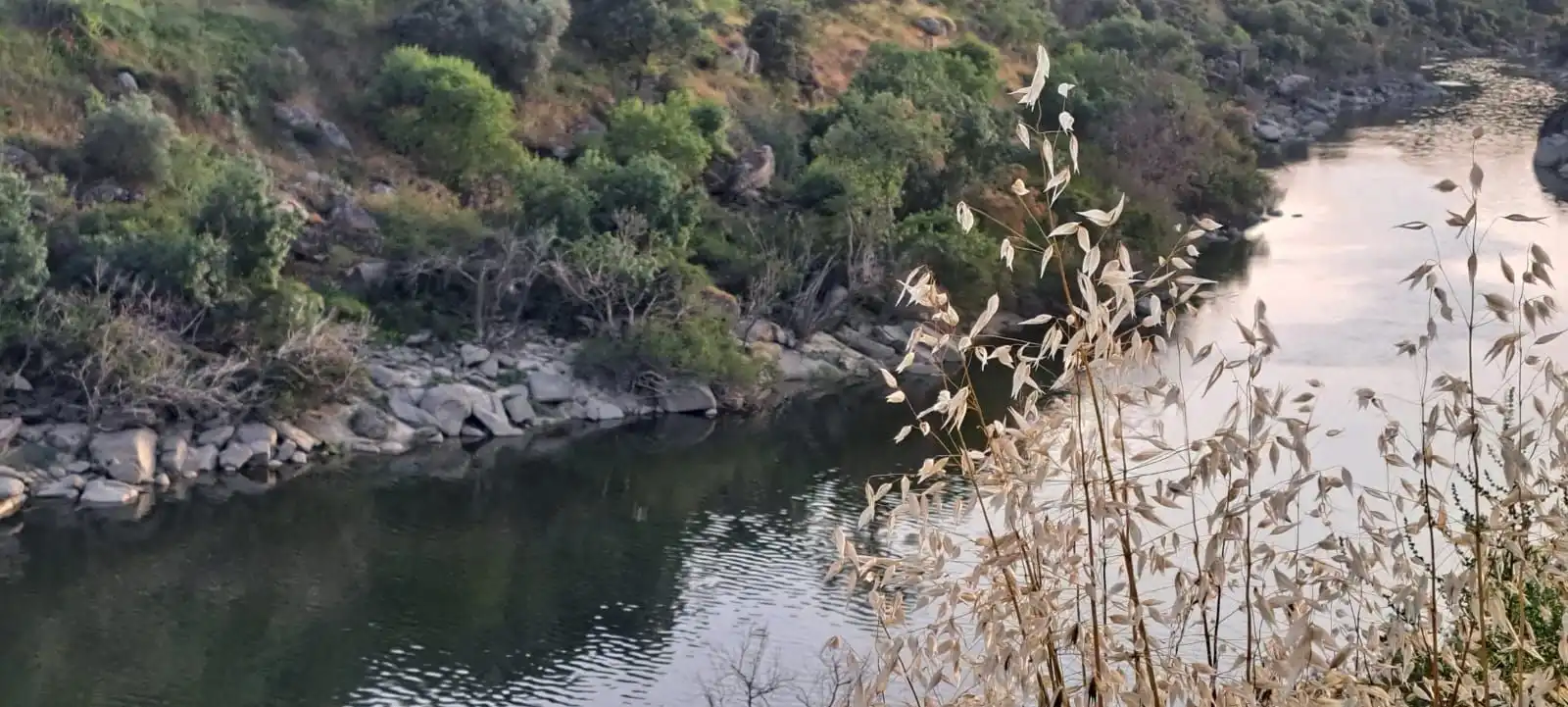 Exterior view of Land for sale in El Puente del Arzobispo