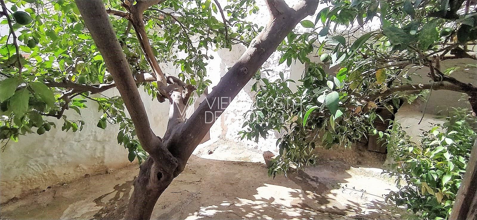 Country house for sale in Riogordo
