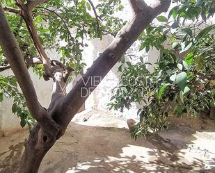 Jardí de Finca rústica en venda en Riogordo