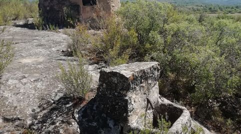 Foto 4 de Terreny en venda a L'Albagés, Lleida