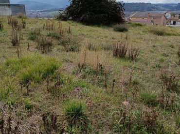 Terreny residencial en venda a Sant Celoni