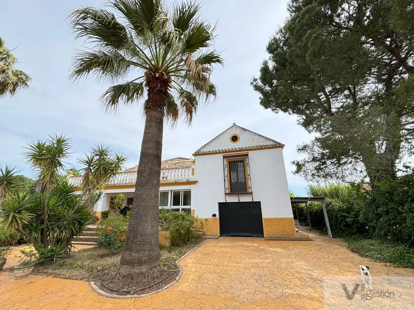 Vista exterior de Finca rústica en venta en Morón de la Frontera con Aire acondicionado, Calefacción y Terraza