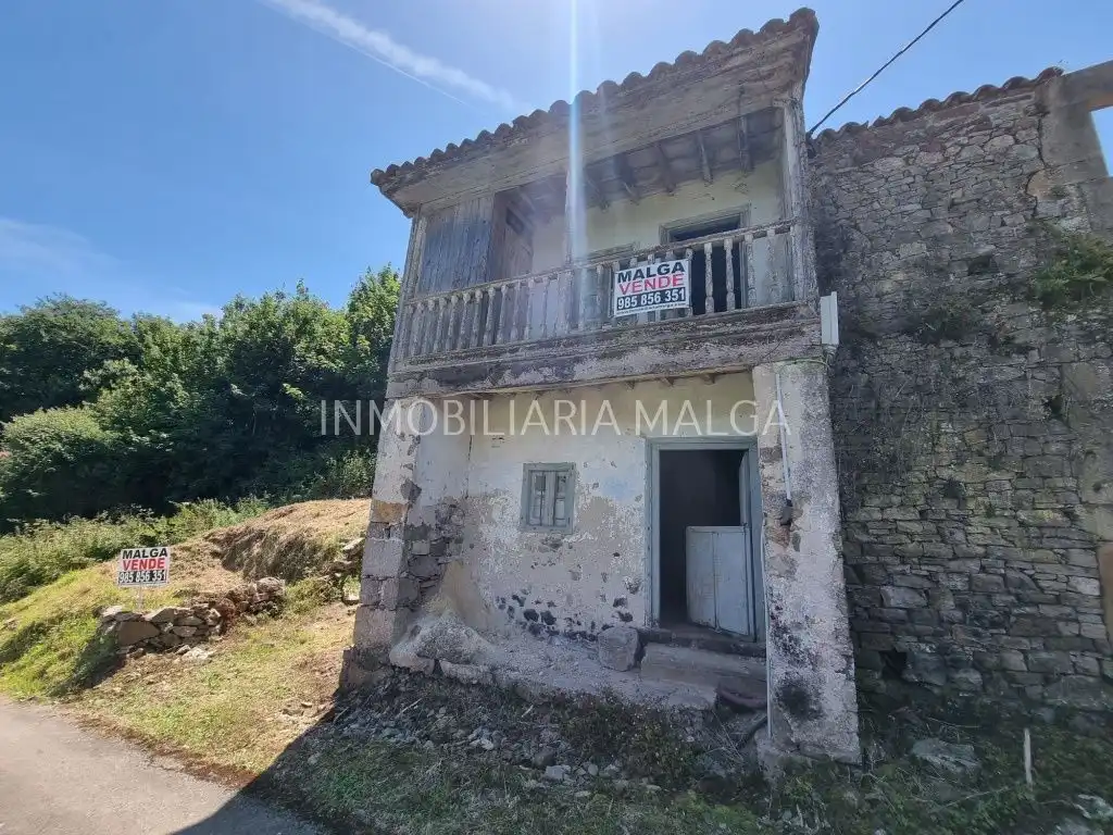 Vista exterior de Casa o xalet en venda en Colunga amb Jardí privat
