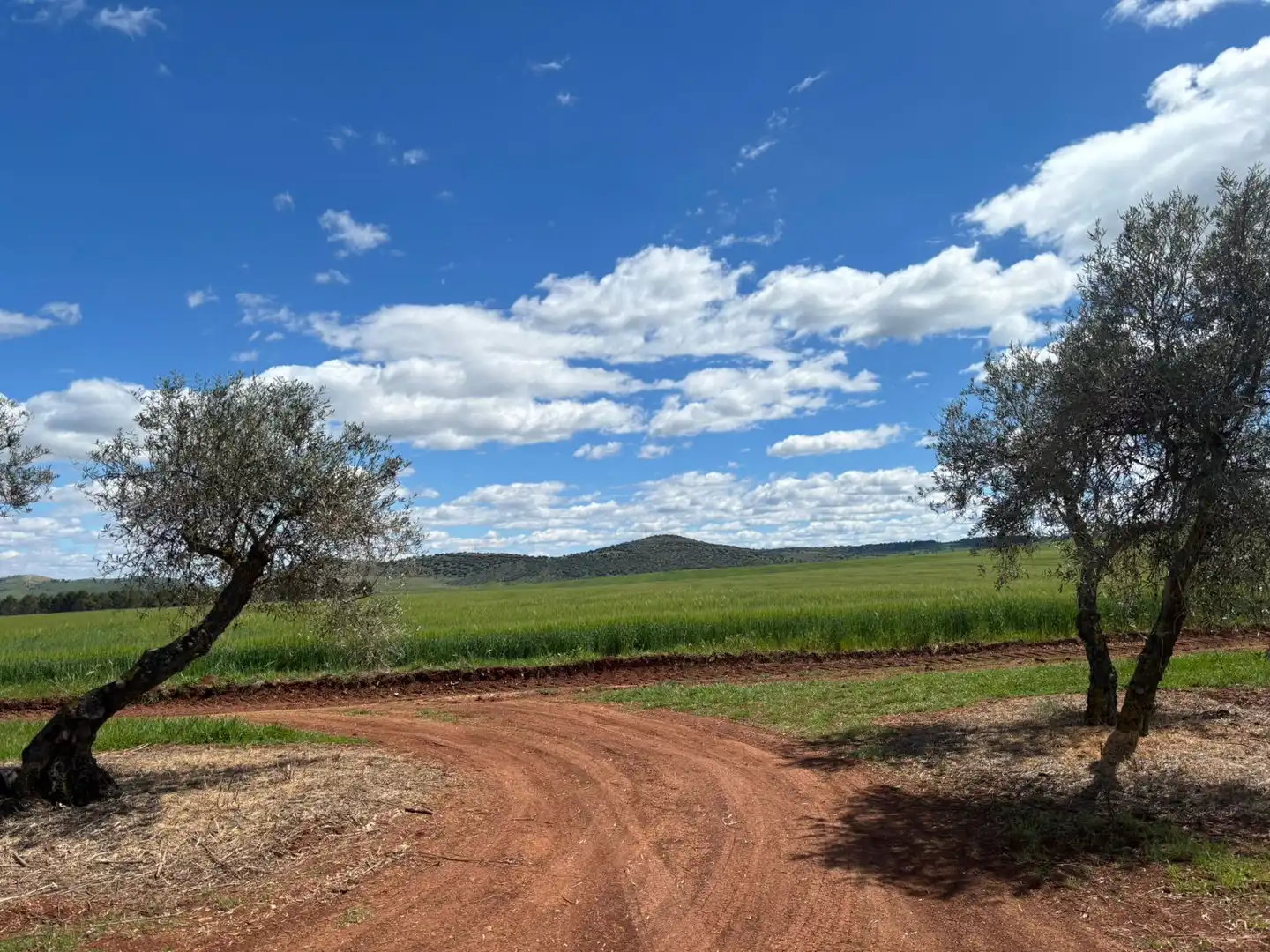 Residential for sale in Ciudad Real