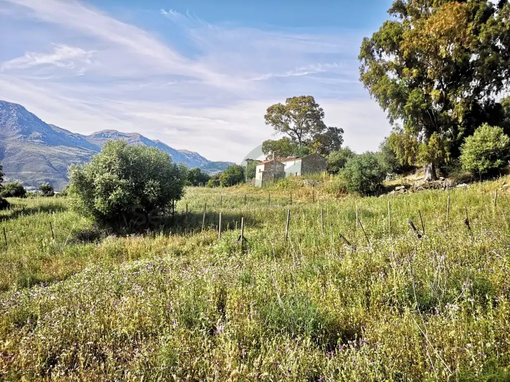 Casa o chalet en venta en Benadalid