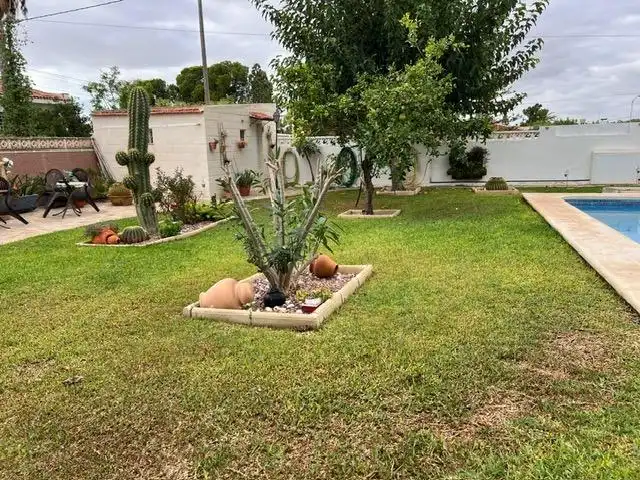 Jardí de Casa o xalet en venda en Mutxamel amb Aire condicionat, Calefacció i Jardí privat