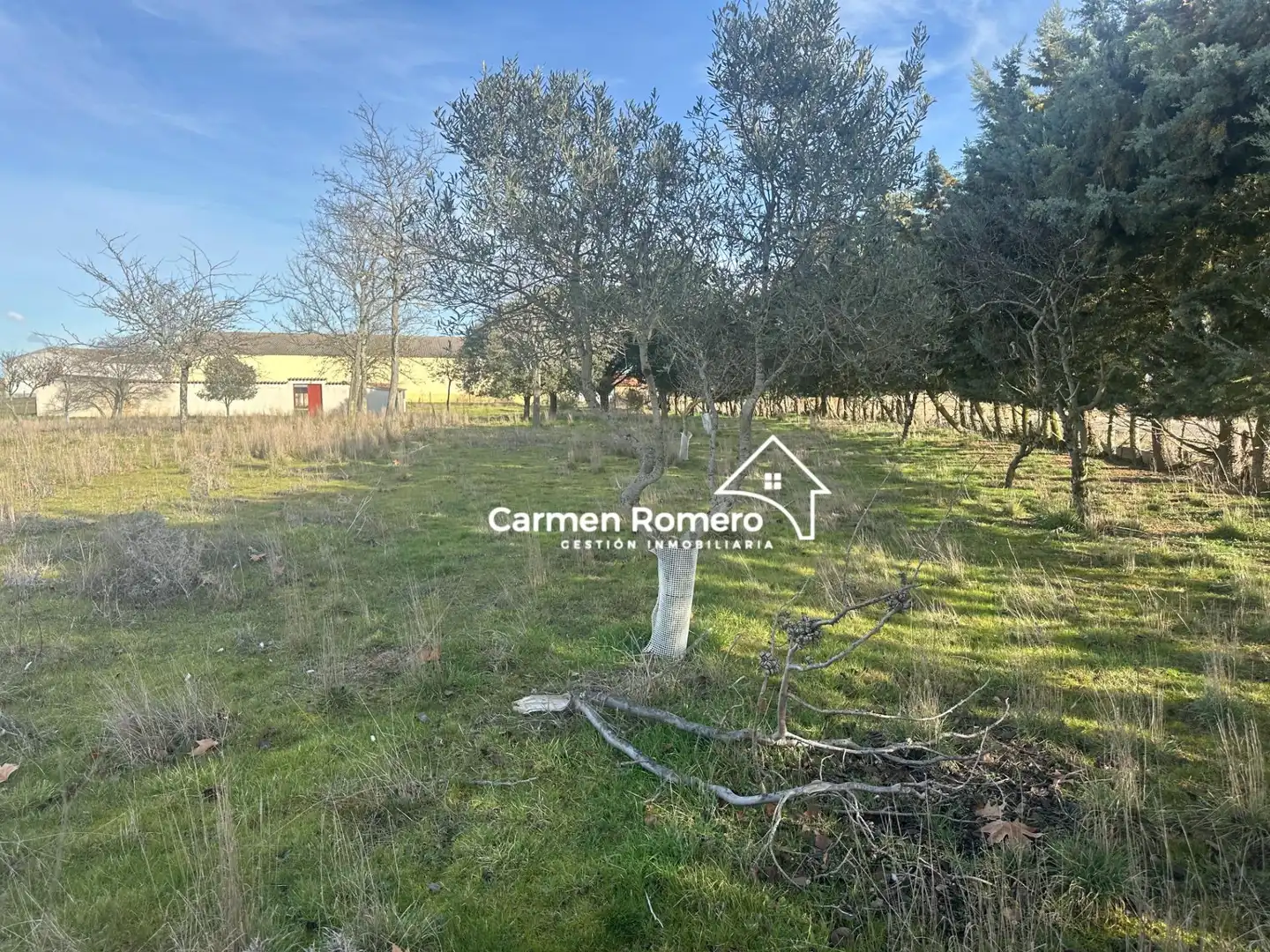 Residential for sale in Valdunciel