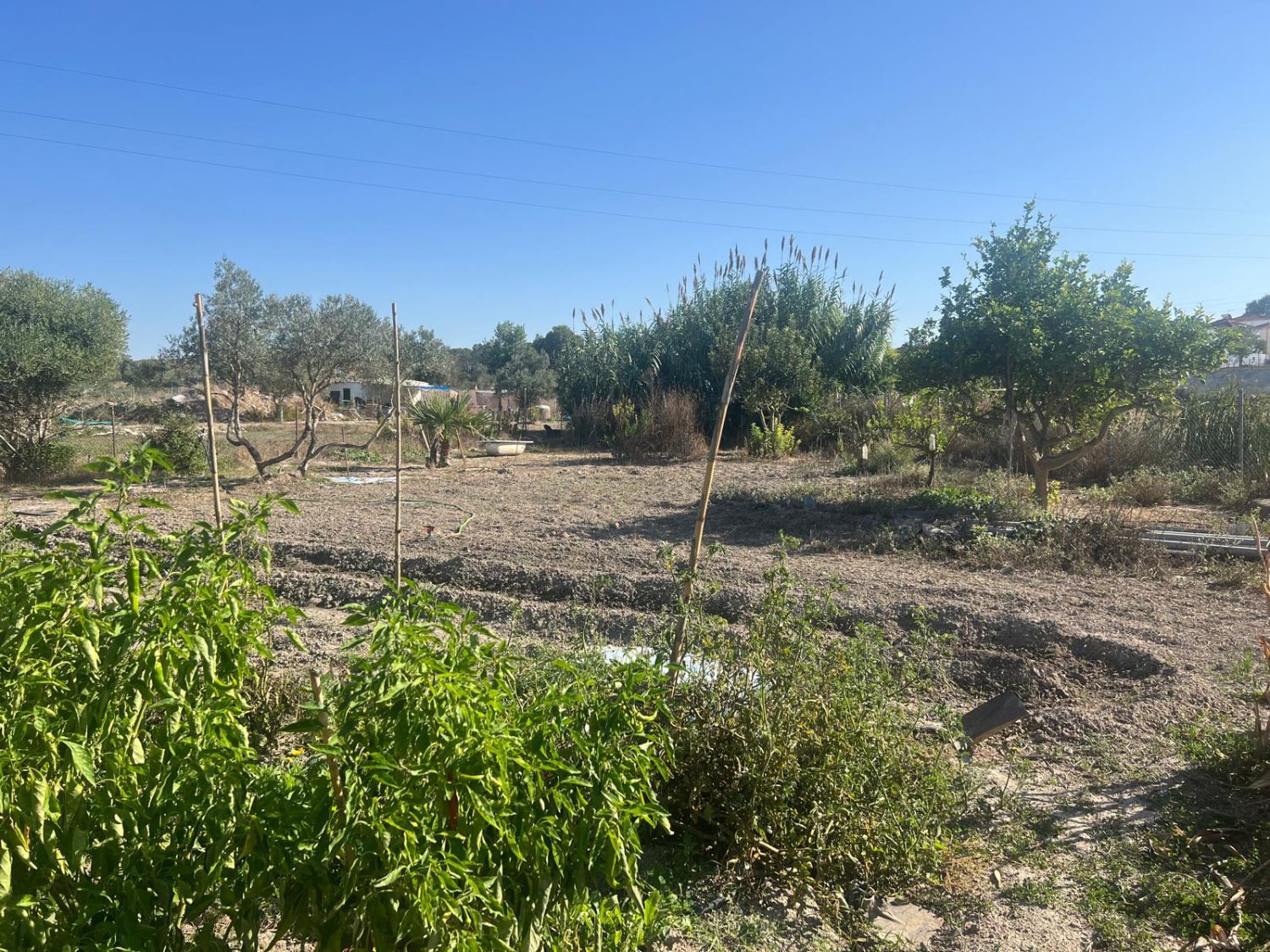 Country house for sale in Jerez de la Frontera