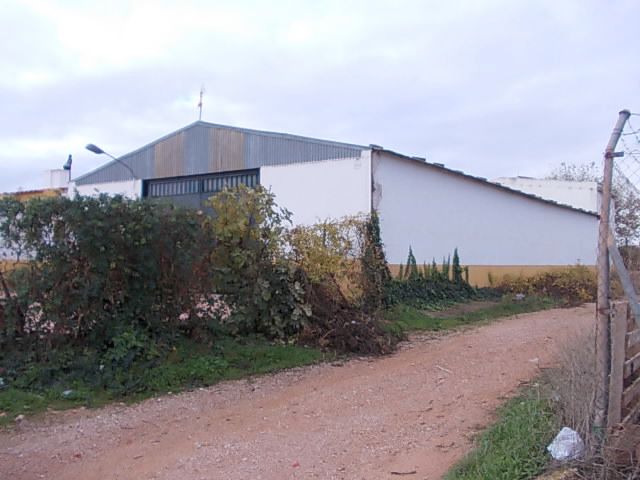 Vista exterior de Finca rústica en venta en Alcázar de San Juan con Aire acondicionado, Calefacción y Terraza