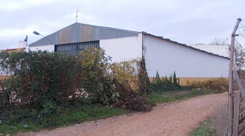 Foto 5 de Finca rústica en venda a Calle Alameda, 1, Alcázar de San Juan, Ciudad Real