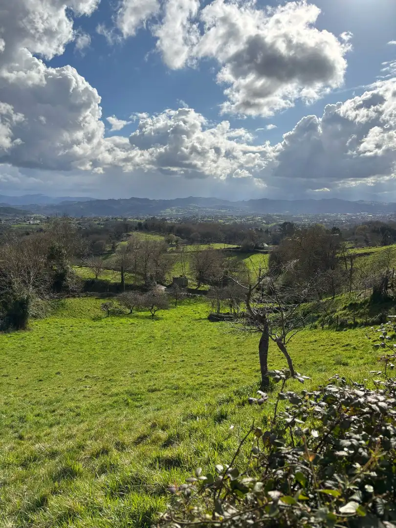 Residential for sale in Siero