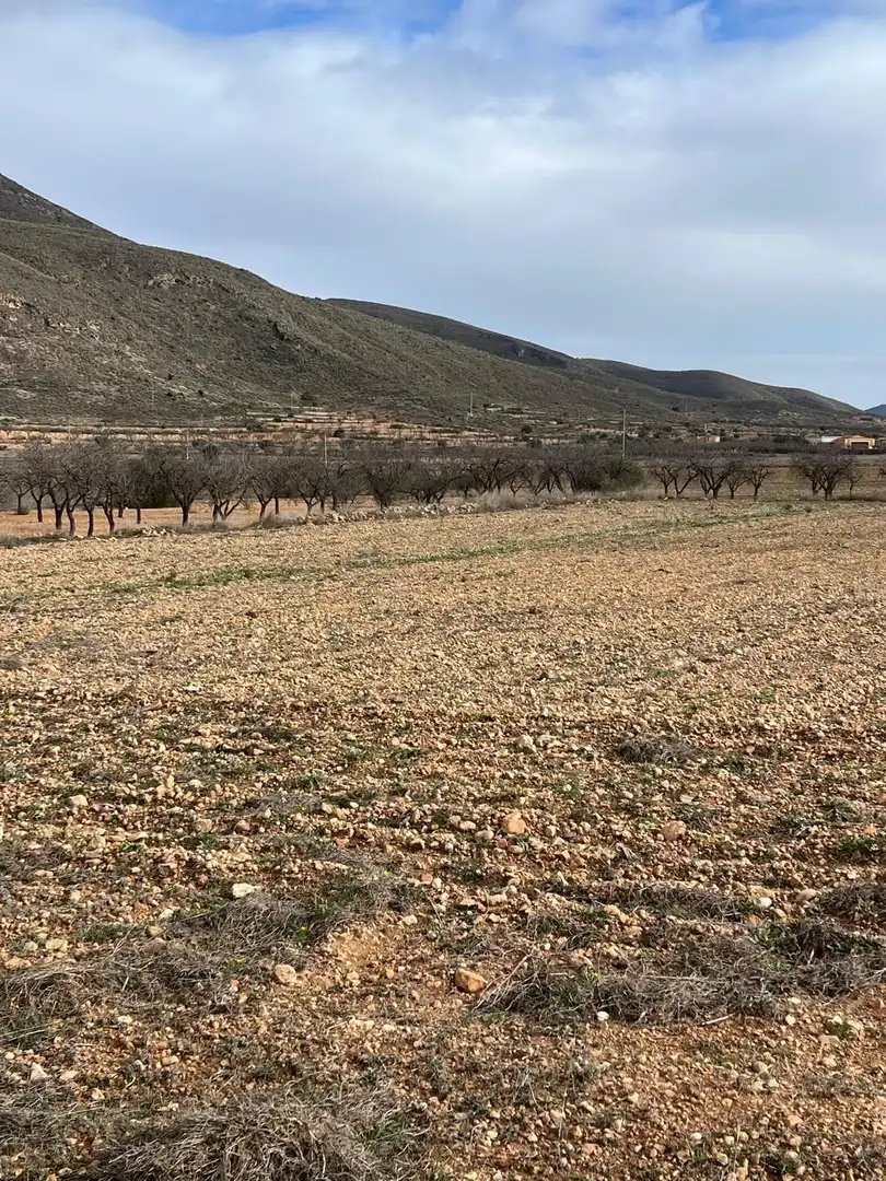 Residencial en venta en Hondón de los Frailes