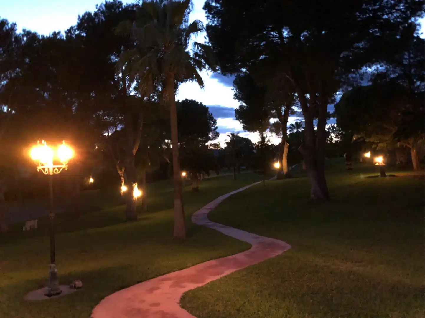Jardí de Casa o xalet en venda en Alcalà de Xivert amb Calefacció, Jardí privat i Piscina