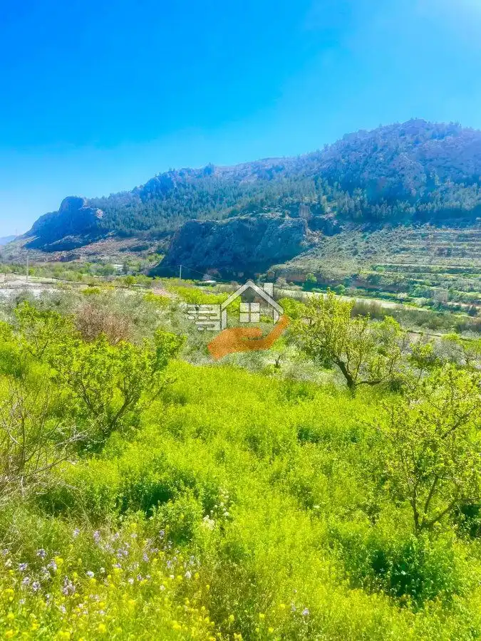 Finca rústica en venda en Vélez-Rubio