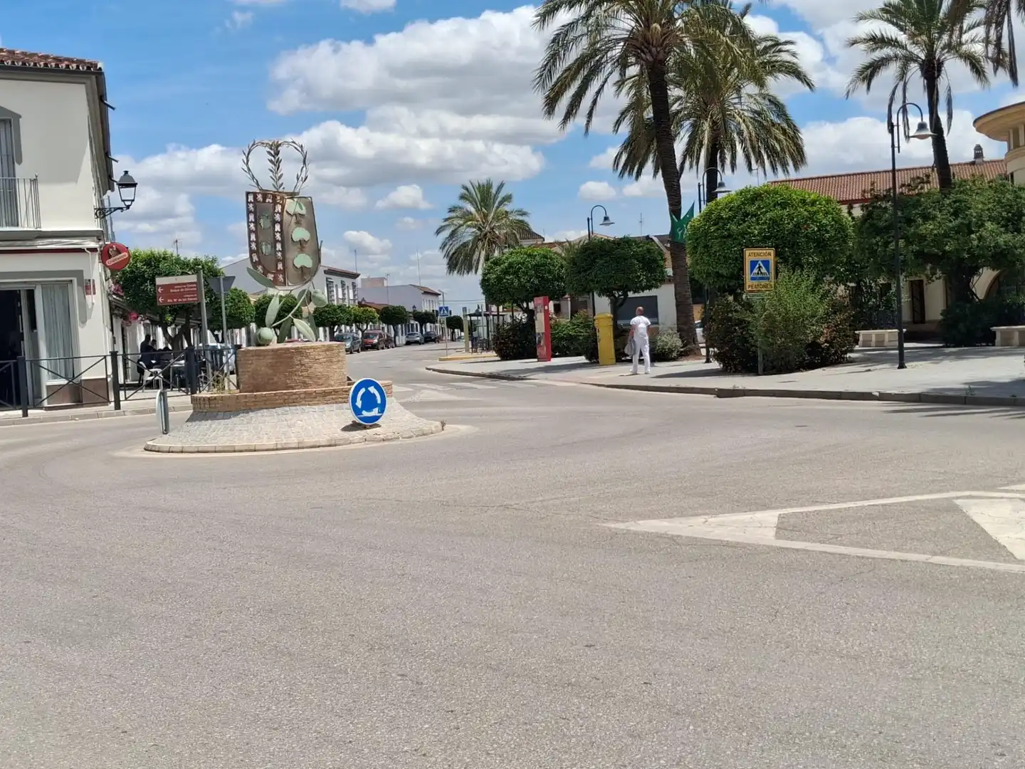 Houses for sale in Olivares