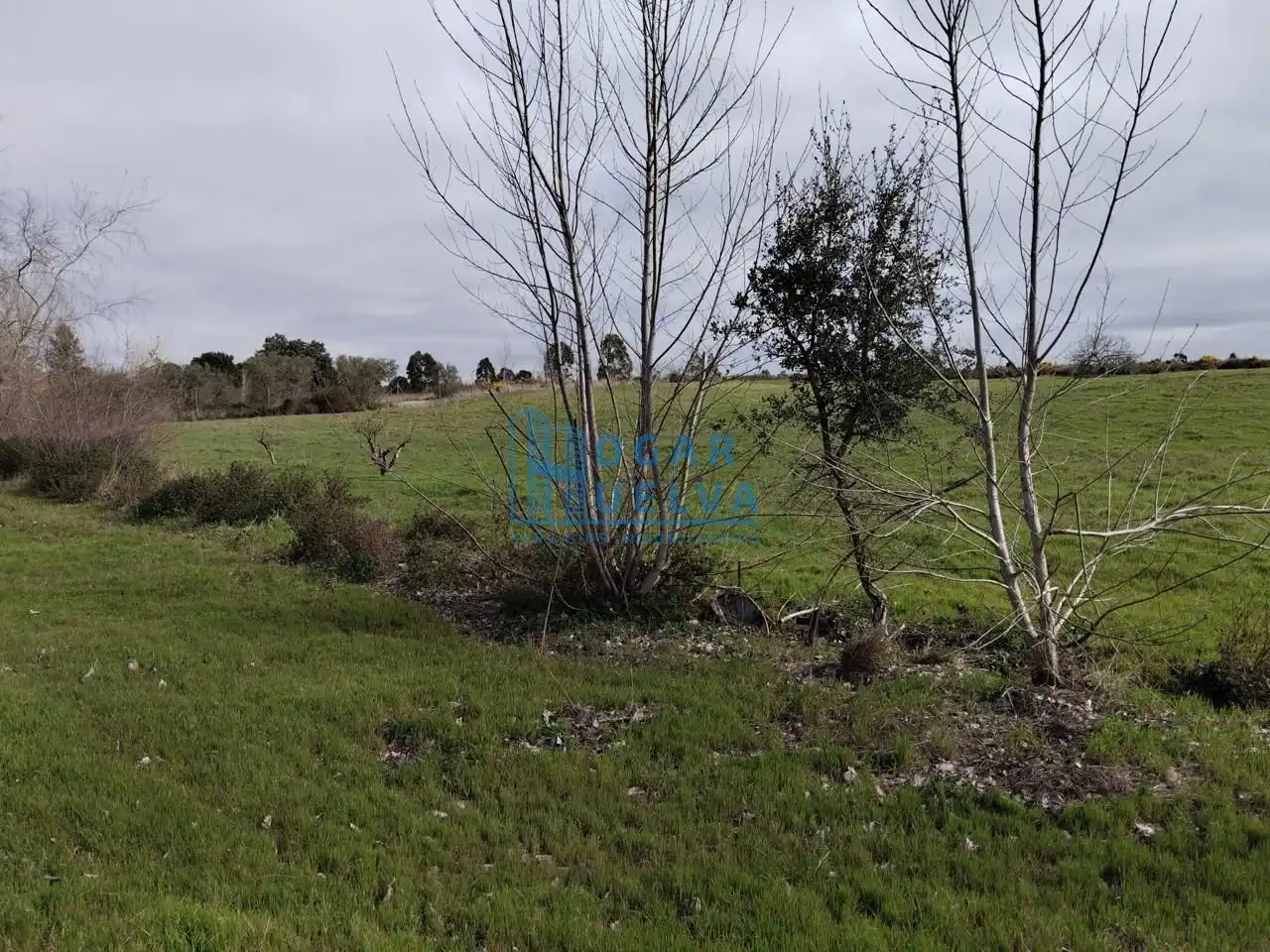 Finca rústica en venda en Bollullos Par del Condado amb Terrassa