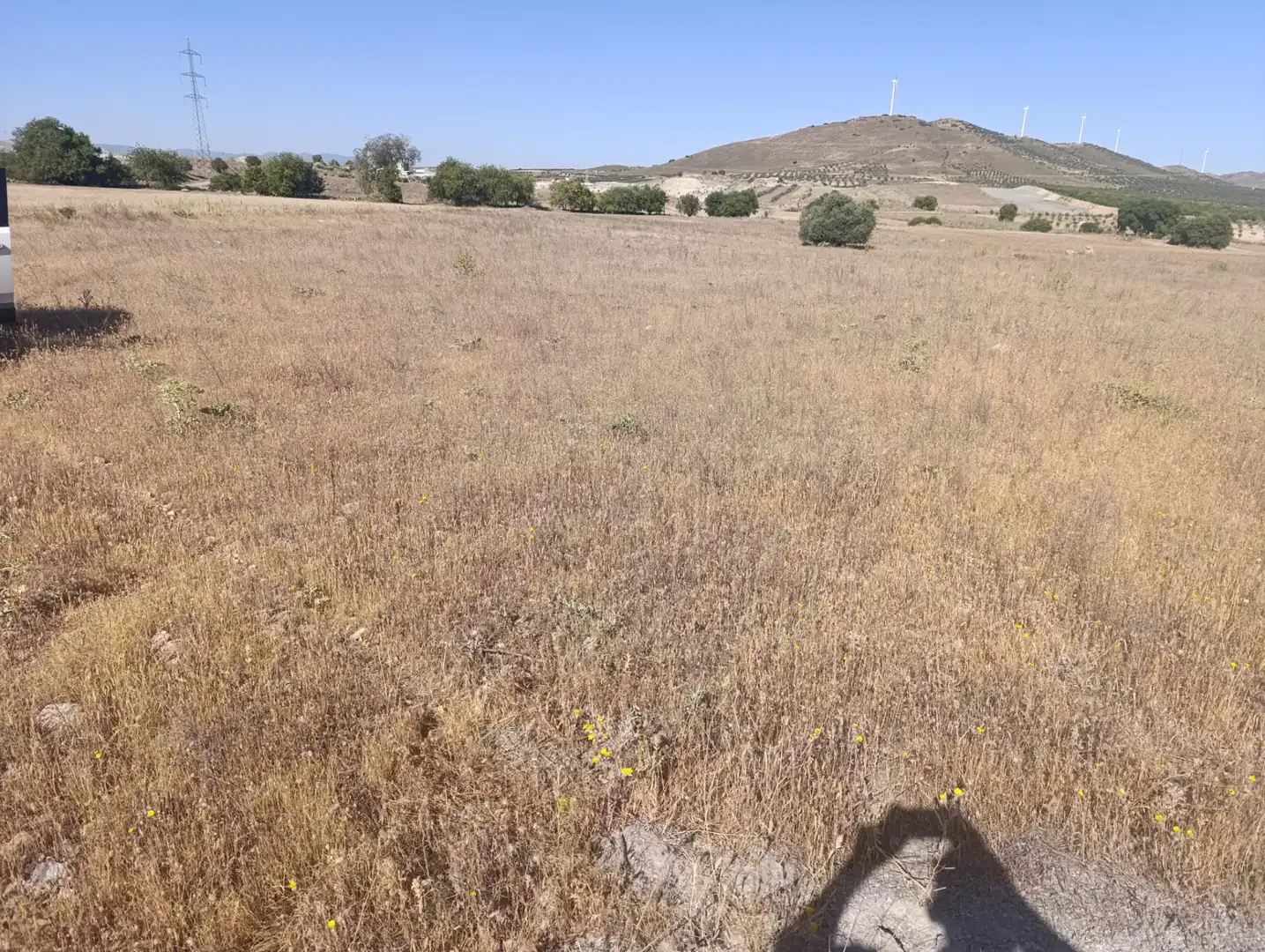 Rural land for sale in N/A, imagen 5