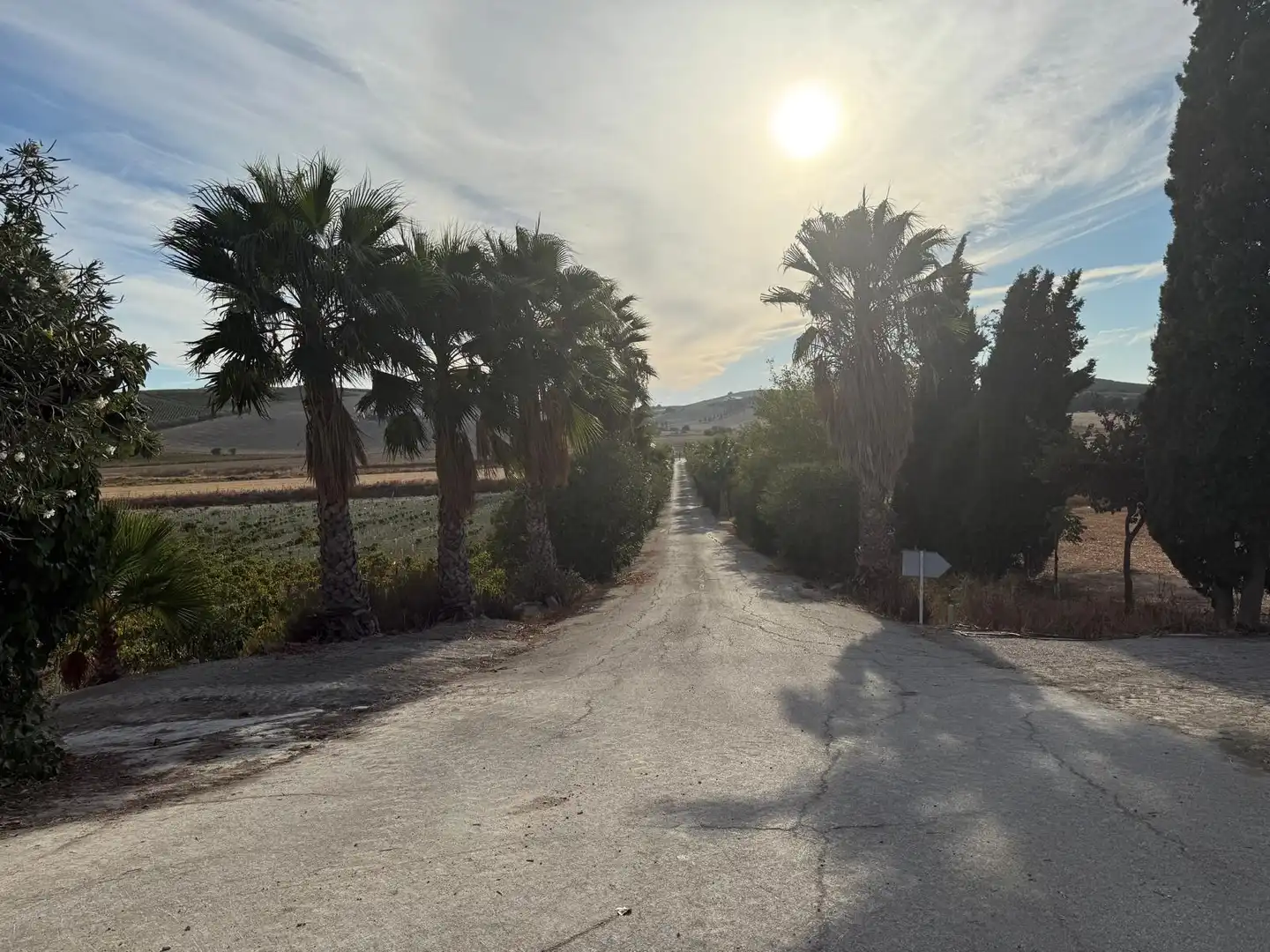 Local comercial en venta en Jerez Sur, imagen 9