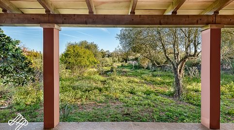 Foto 5 de Finca rústica en venta en Algaida, Illes Balears