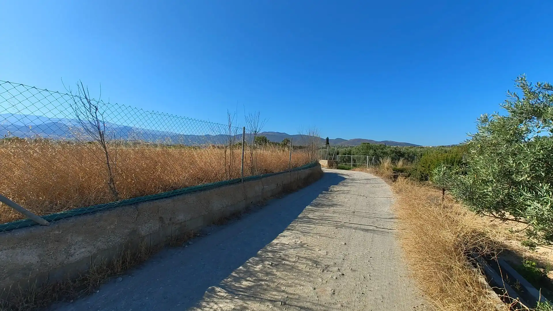 Terreno rustico in vendita a Aljancira, imagen 6
