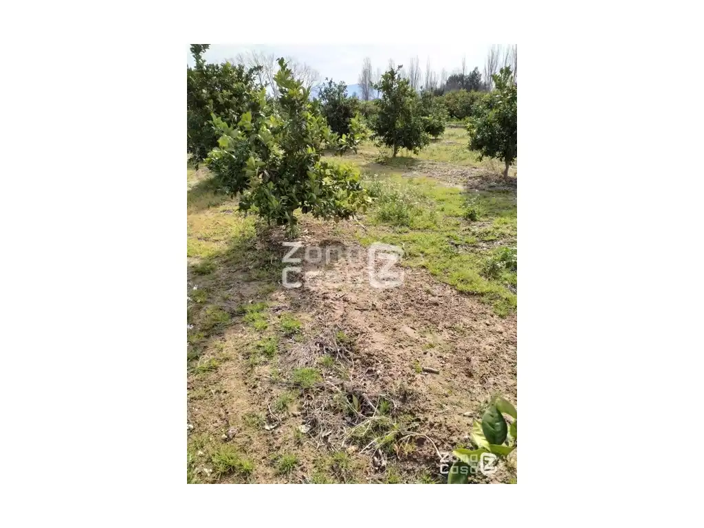 Country house for sale in Algemesí, imagen 3