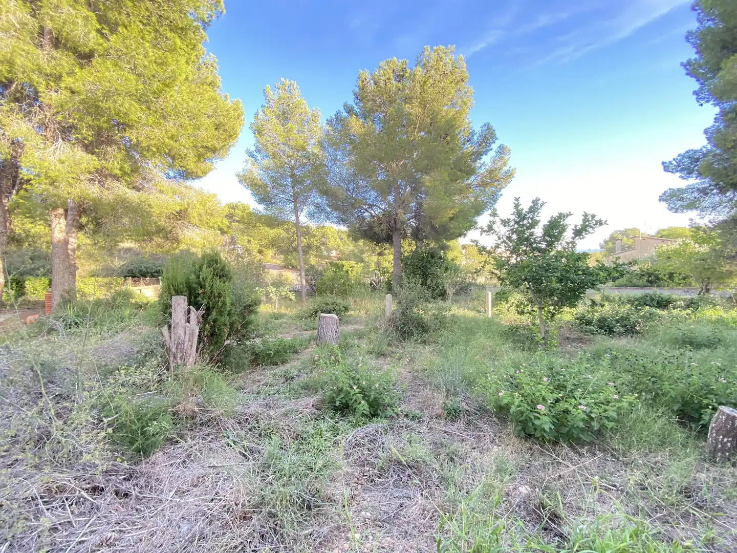 Wohnbaugrundstück zum Verkauf in Mas Borràs - Coto del Rey, imagen 8