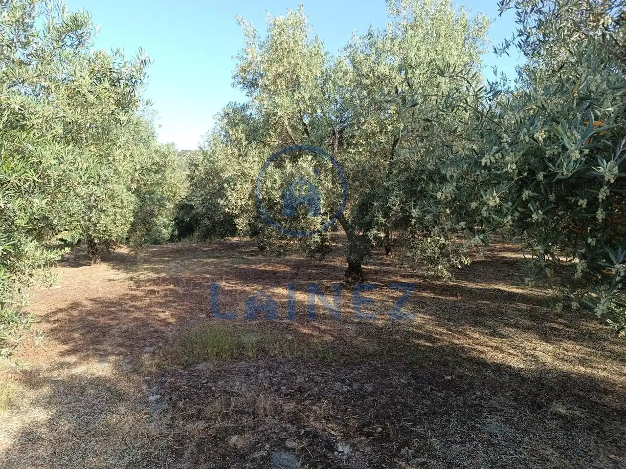 Grundstücke und Bauplätze zum Verkauf in Norte-Sierra, imagen 19