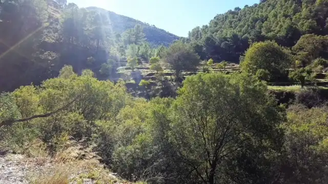 Terreni e lotti in vendita a Avenida de San Roque, imagen 9
