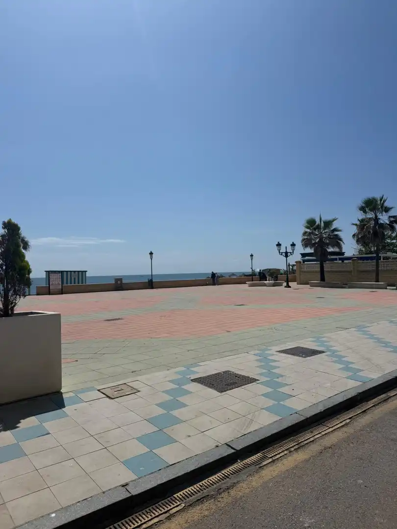 Exterior view of Ground floor for rent in Manilva  with Community pool