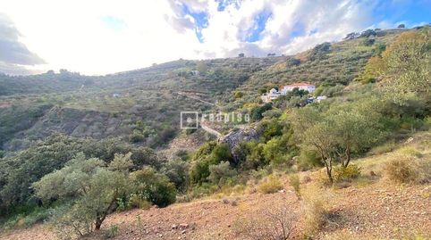 OPORTUNIDAD EN CASABERMEJA, MÁLAGA  TERRENO RÚSTICO DE 15.000 M CON VISTAS AL MAR Y A SOLO 15 MINUTOS DE MÁLAGA, imatge 3