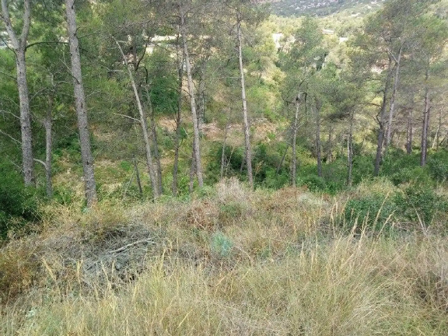 Terrenys i solars en venda a Olesa de Bonesvalls, imagen 6