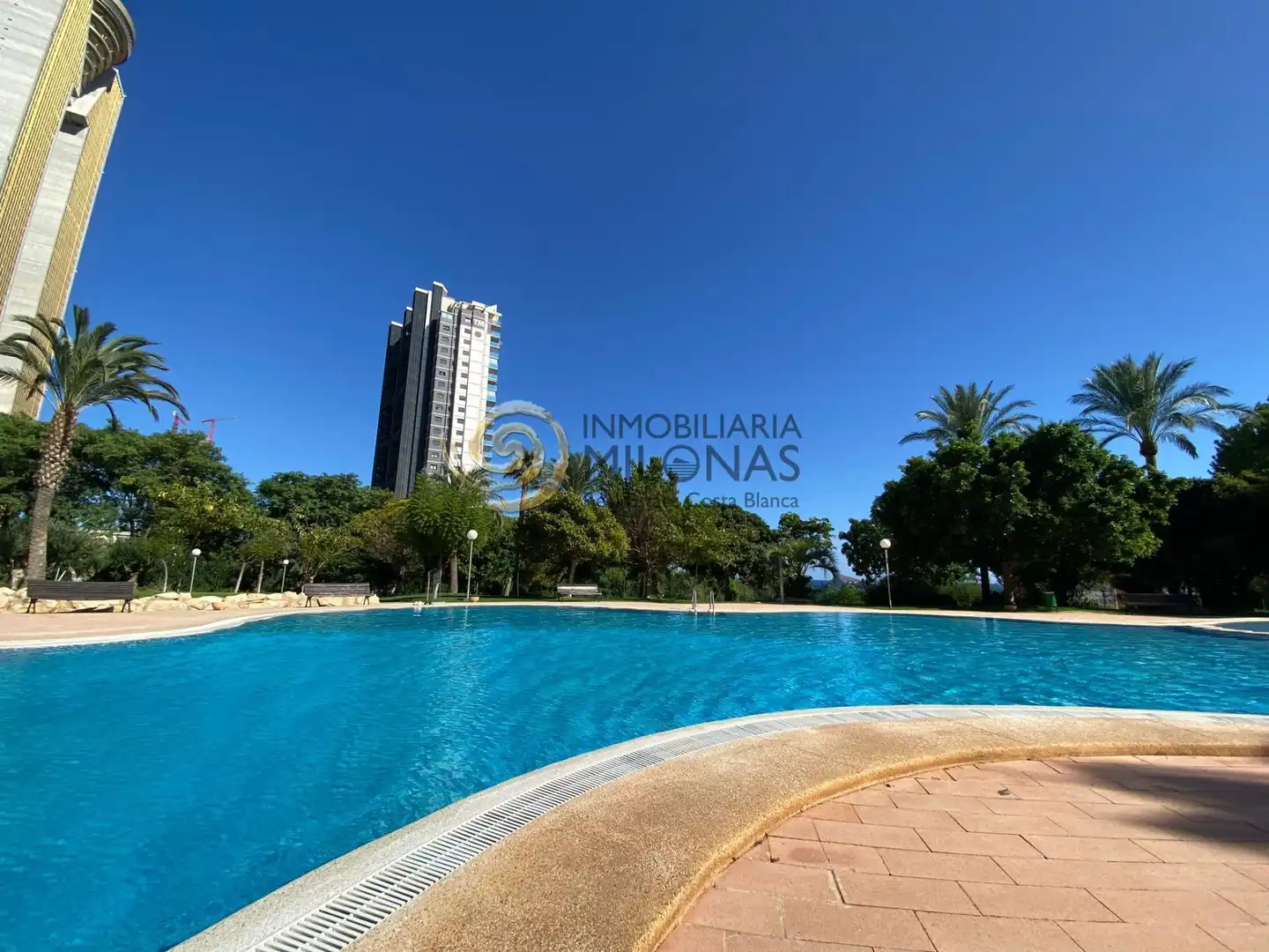 Schwimmbecken von Wohnung zur Miete in Benidorm mit Klimaanlage, Heizung und Privatgarten