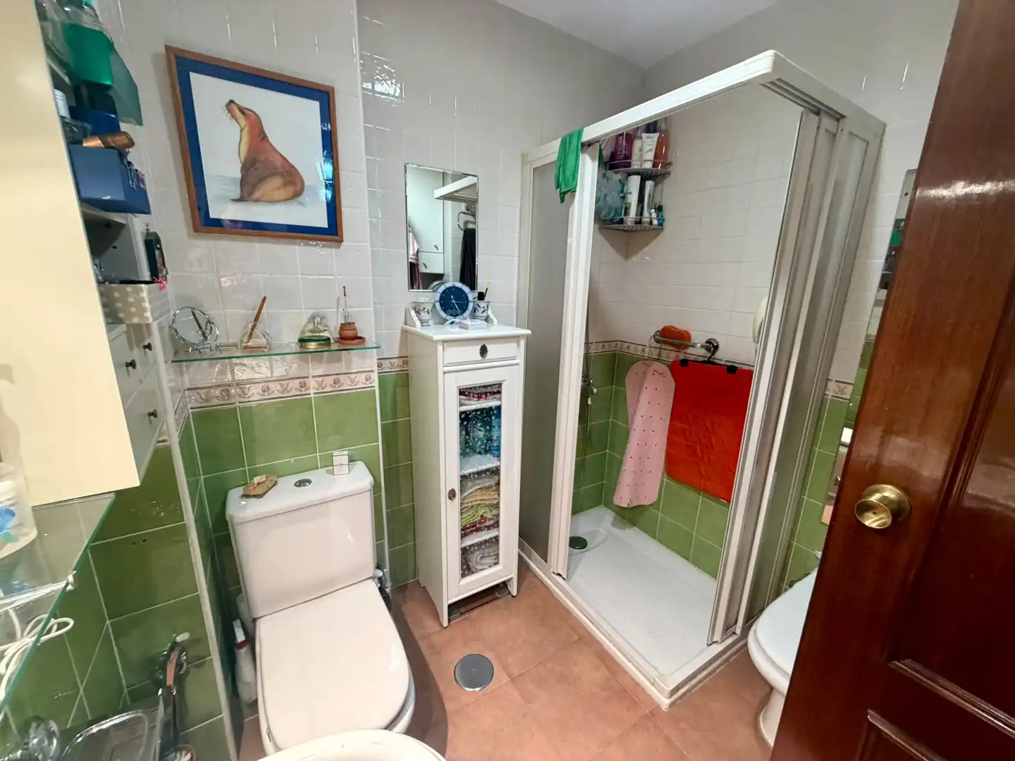 Appartement à vendre à PARROCO DON EMILIO FRANCO, imagen 32