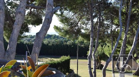 Masia Única, image 5