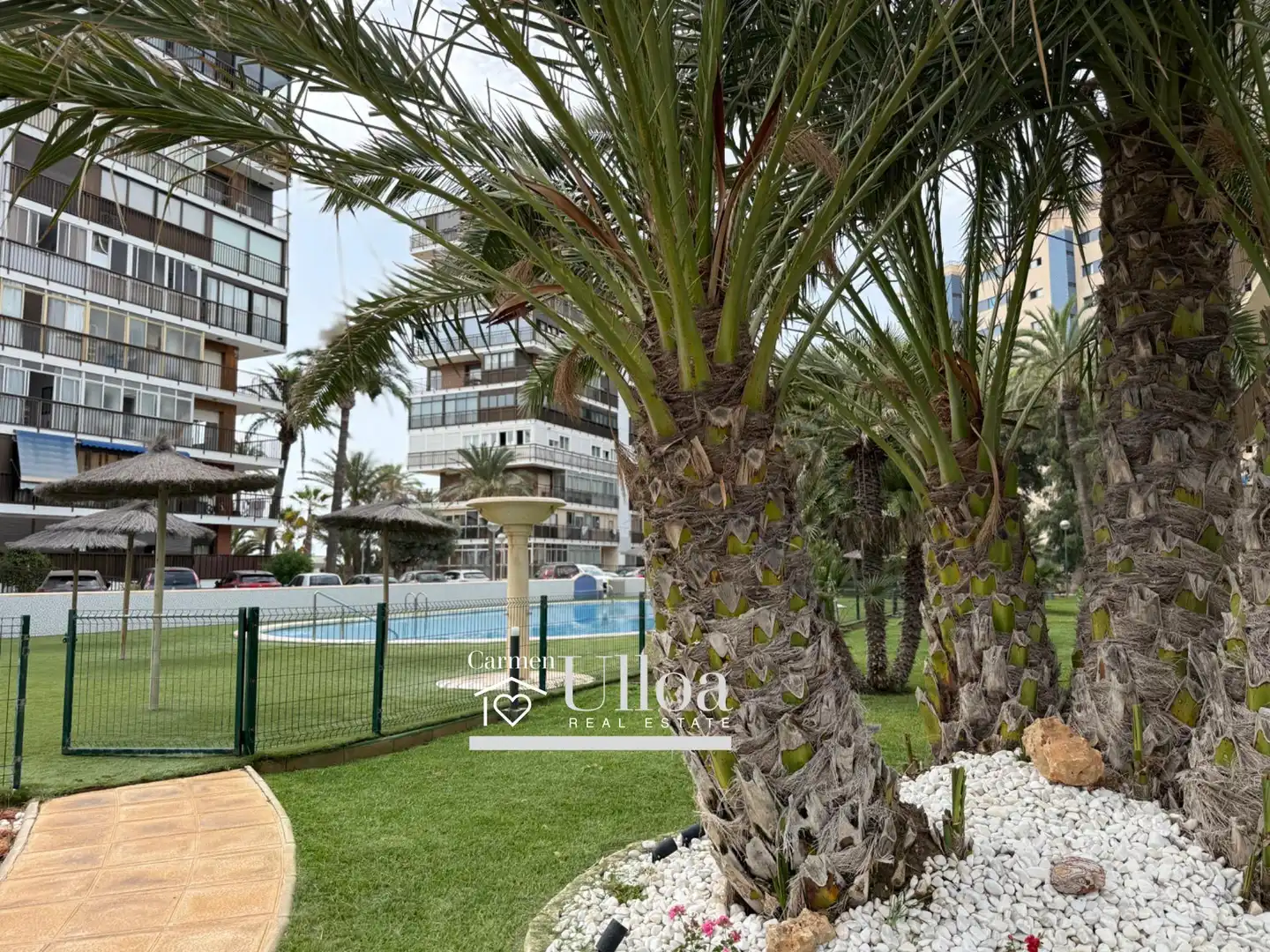 Pis amb terrassa en venda a Playa de San Juan - El Cabo de las Huertas, imagen 3