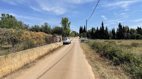 Foto 5 de Terreny en venda a Sencelles, Illes Balears