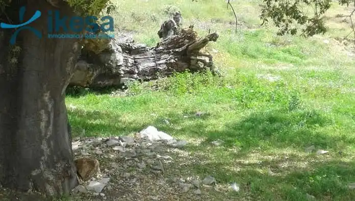 Terreni e lotti in vendita a Cortegana, imagen 6