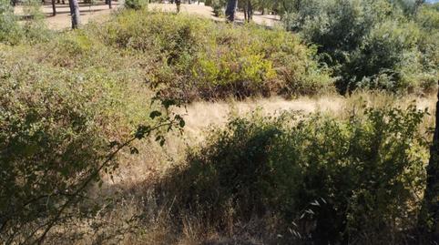 Foto 5 de Finca rústica en venda a Calle Santa Cecilia, Valdemaqueda, Madrid