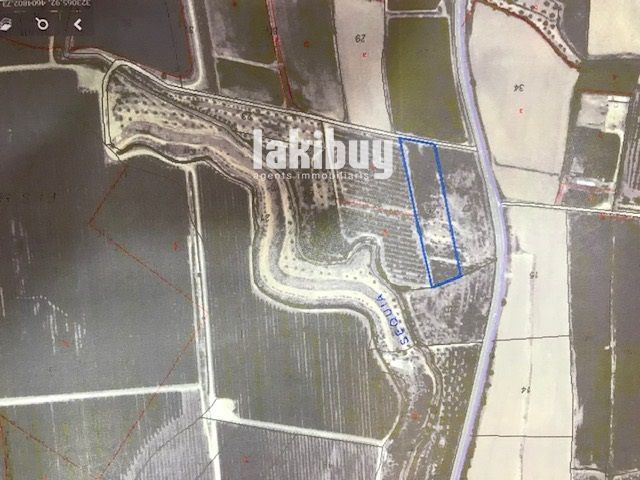 Land for sale in Puiggròs