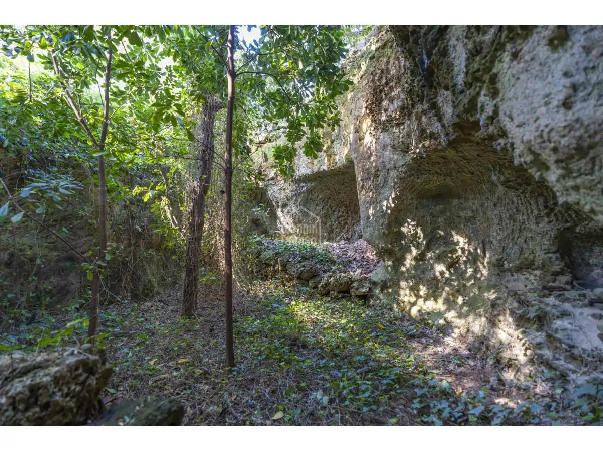 Country homes for sale in Maó - Mahón  with Private garden, Terrace and Swimming Pool
