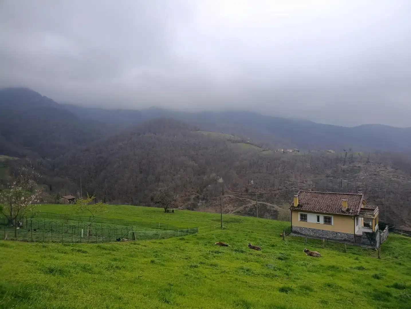 Finca rústica en venta en Caso