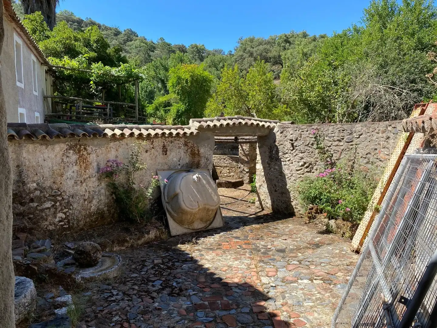 Garden of Residential for sale in Alpandeire