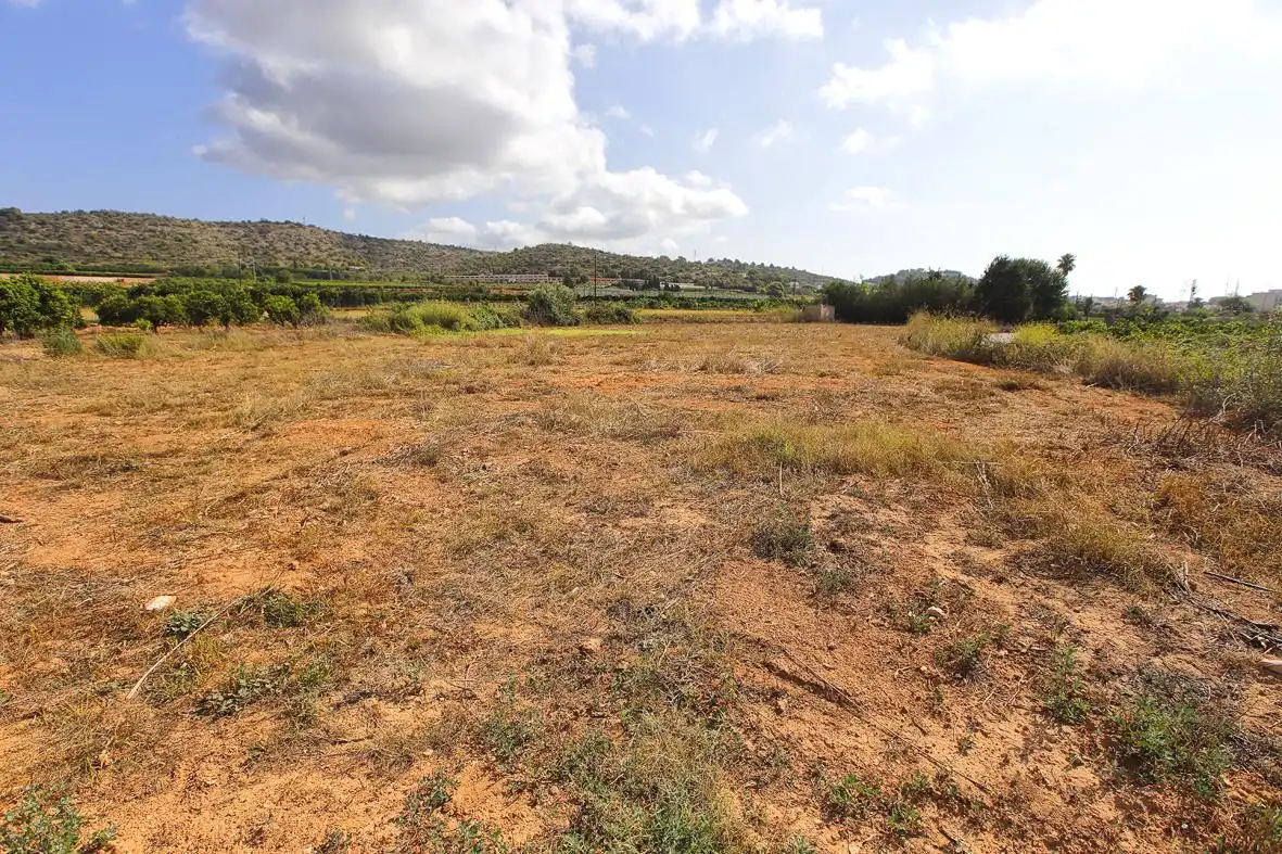 Rural land for sale in Alcanar, imagen 9